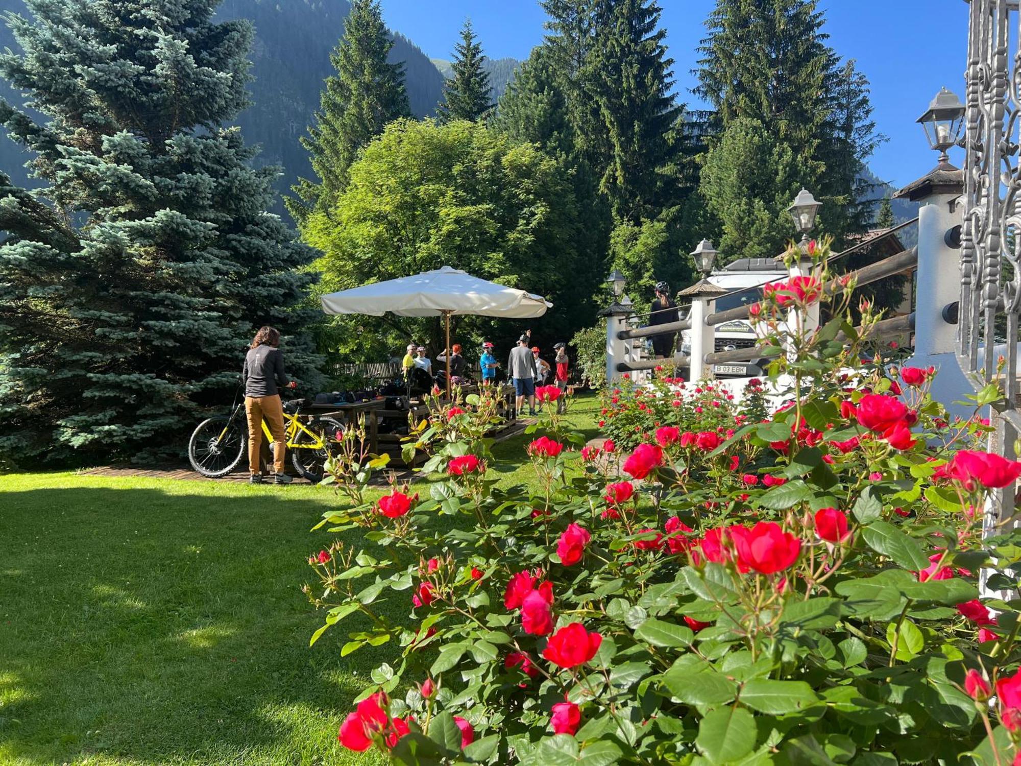 B&B Garni Villa Campitello Campitello di Fassa Eksteriør billede